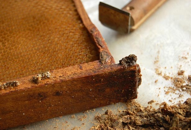 Прополис 10 гр